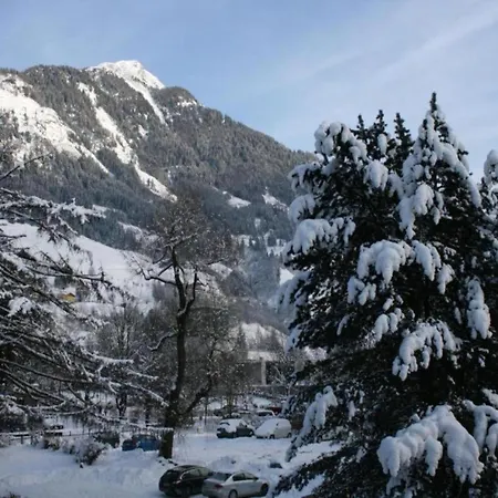 Apartment In Bad Gastein Near Ski Lift شقة